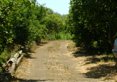 Casa Vacanze Mandarino